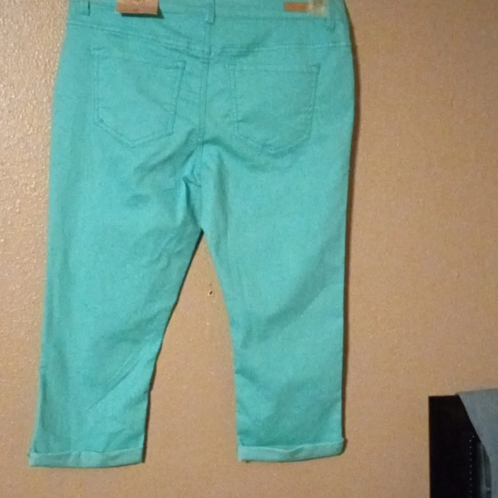 Capris - Picture 3 of 5